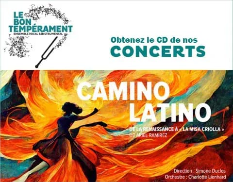 Image de Camino